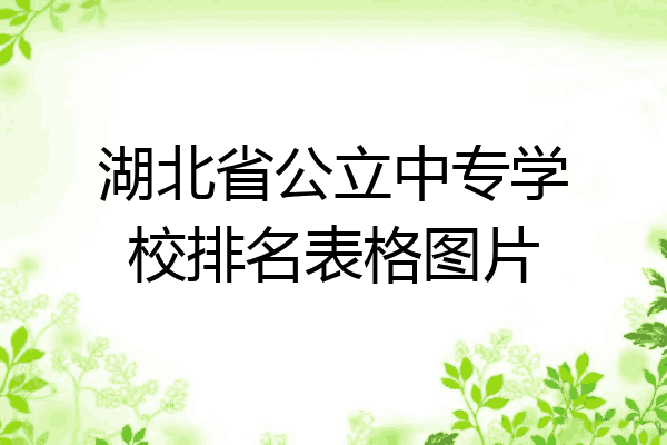 湖北省公立中专学校排名表格图片