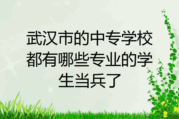 武汉市的中专学校都有哪些专业的学生当兵了