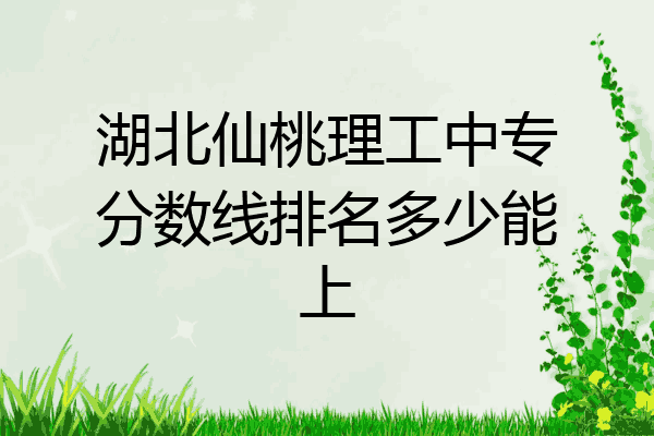 湖北仙桃理工中专分数线排名多少能上