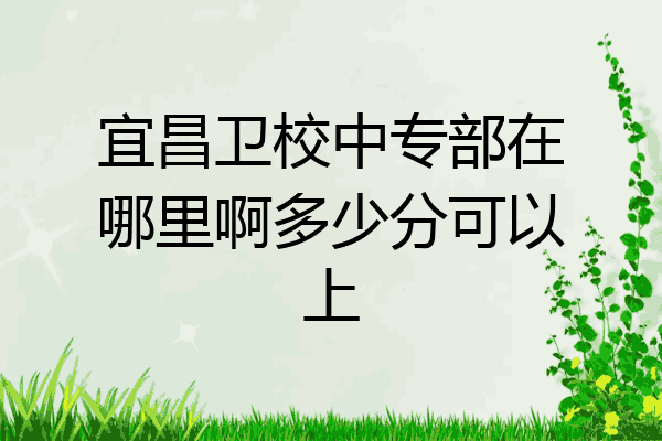 宜昌卫校中专部在哪里啊多少分可以上