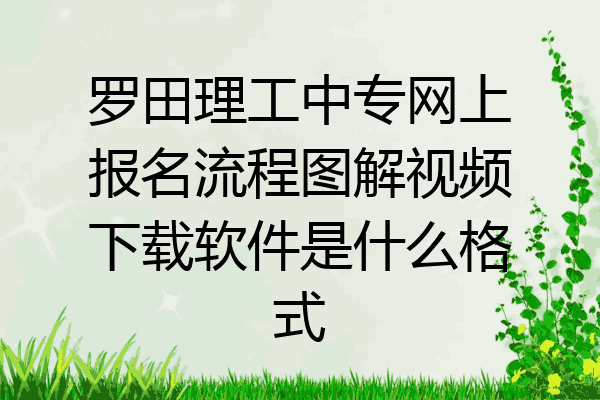 罗田理工中专网上报名流程图解视频下载软件是什么格式