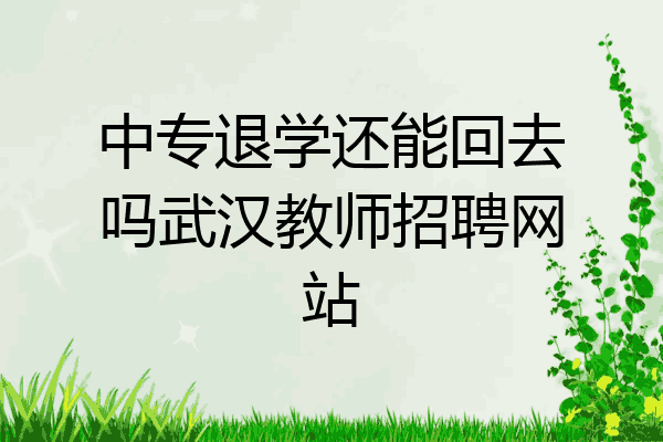 中专退学还能回去吗武汉教师招聘网站