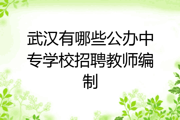 武汉有哪些公办中专学校招聘教师编制