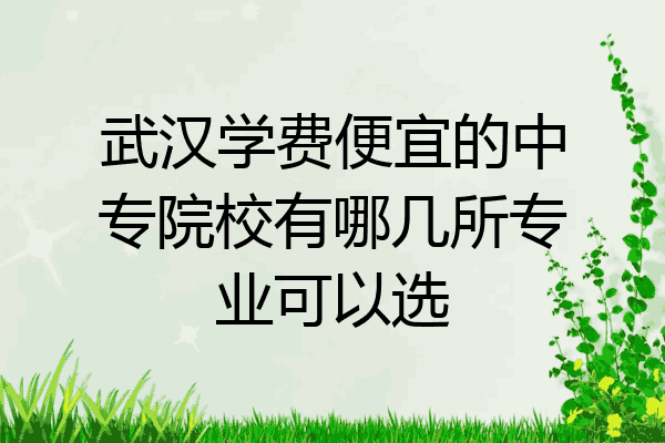武汉学费便宜的中专院校有哪几所专业可以选