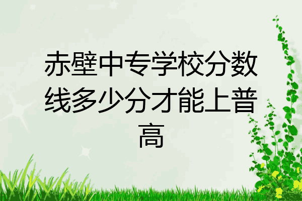 赤壁中专学校分数线多少分才能上普高