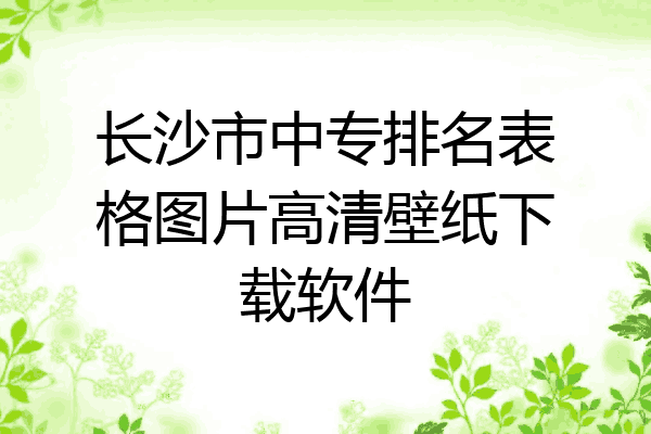 长沙市中专排名表格图片高清壁纸下载软件