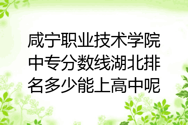 咸宁职业技术学院中专分数线湖北排名多少能上高中呢