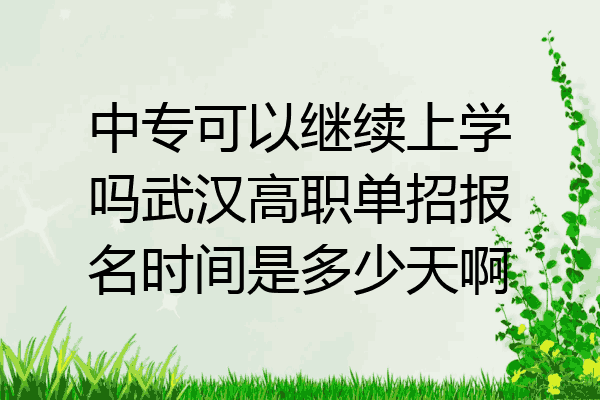 中专可以继续上学吗武汉高职单招报名时间是多少天啊