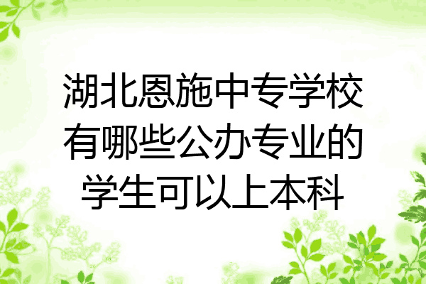 湖北恩施中专学校有哪些公办专业的学生可以上本科