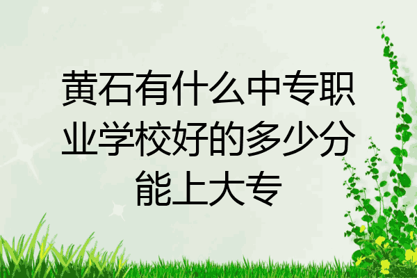 黄石有什么中专职业学校好的多少分能上大专