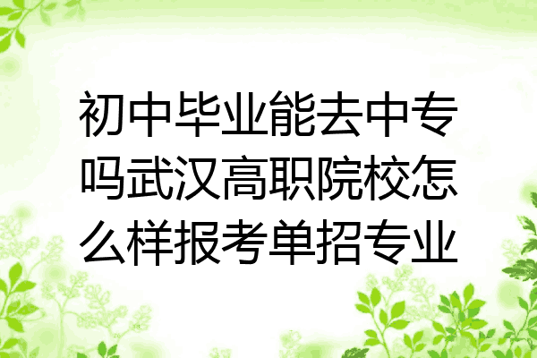 初中毕业能去中专吗武汉高职院校怎么样报考单招专业