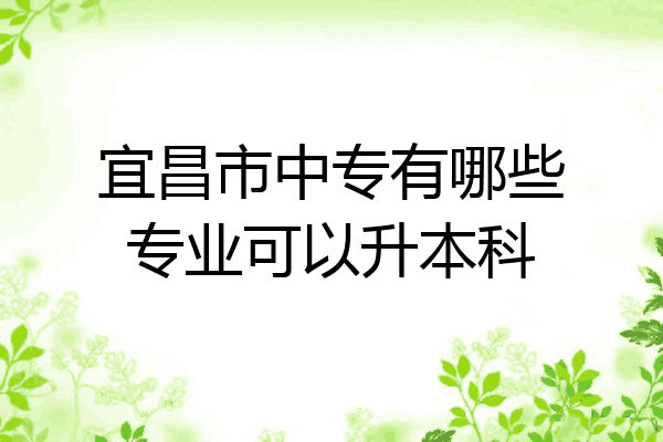 宜昌市中专有哪些专业可以升本科