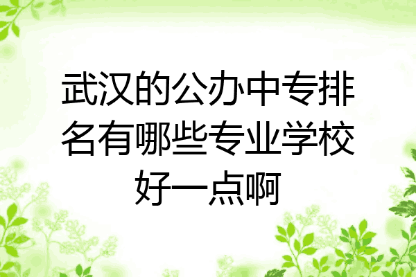 武汉的公办中专排名有哪些专业学校好一点啊