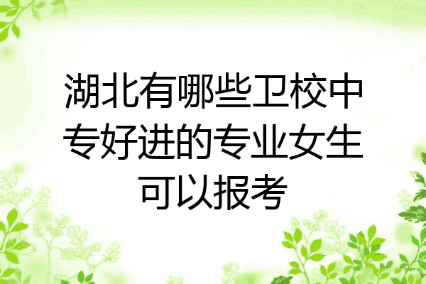 湖北有哪些卫校中专好进的专业女生可以报考