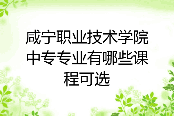 咸宁职业技术学院中专专业有哪些课程可选