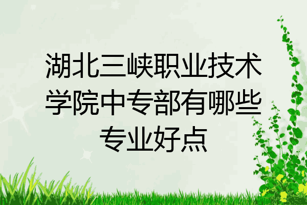 湖北三峡职业技术学院中专部有哪些专业好点