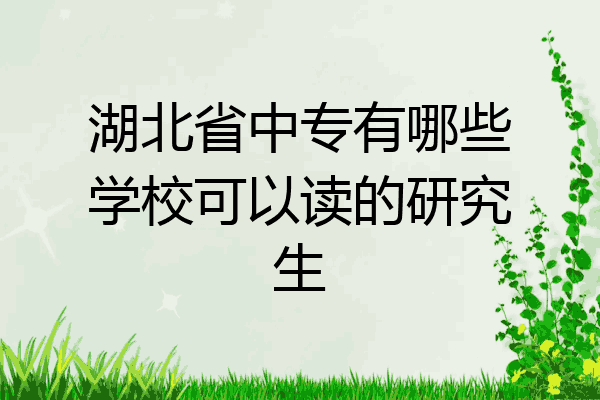 湖北省中专有哪些学校可以读的研究生
