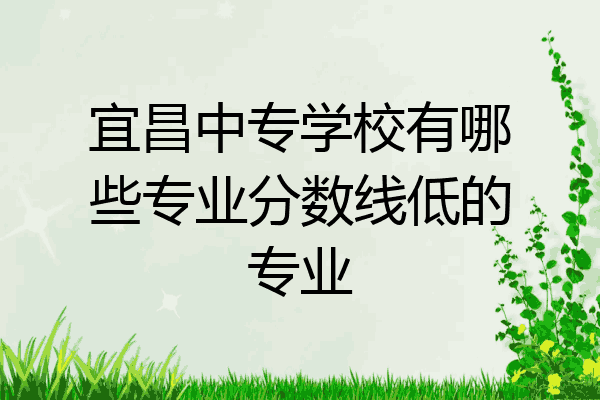 宜昌中专学校有哪些专业分数线低的专业