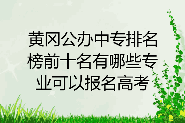 黄冈公办中专排名榜前十名有哪些专业可以报名高考