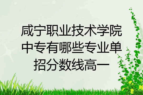 咸宁职业技术学院中专有哪些专业单招分数线高一