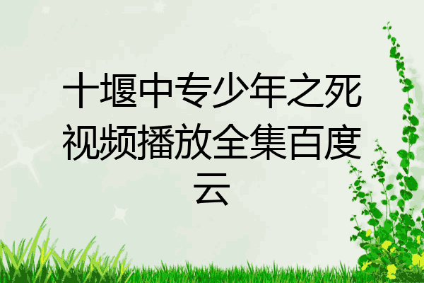 十堰中专少年之死视频播放全集百度云