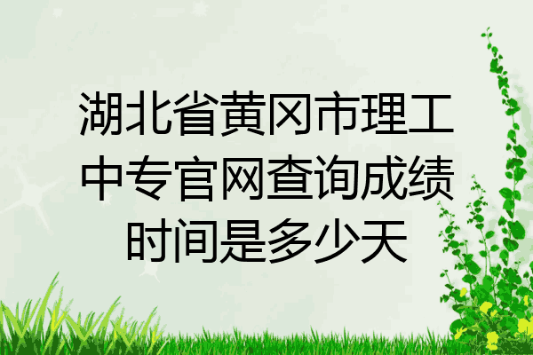 湖北省黄冈市理工中专官网查询成绩时间是多少天