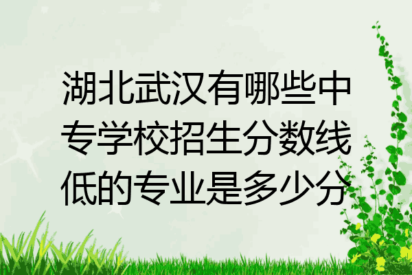 湖北武汉有哪些中专学校招生分数线低的专业是多少分