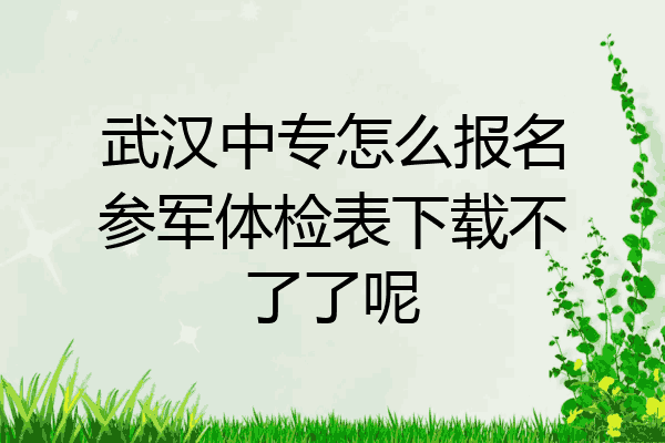 武汉中专怎么报名参军体检表下载不了了呢