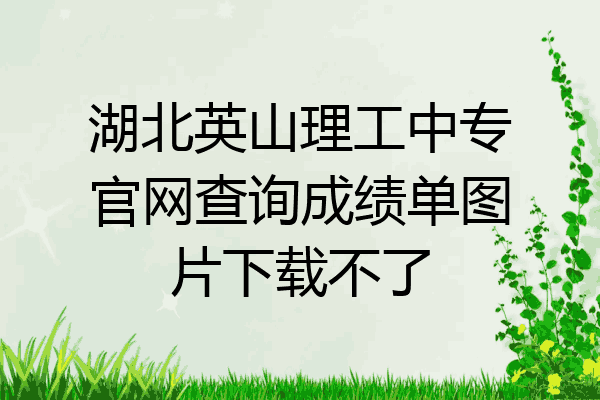 湖北英山理工中专官网查询成绩单图片下载不了