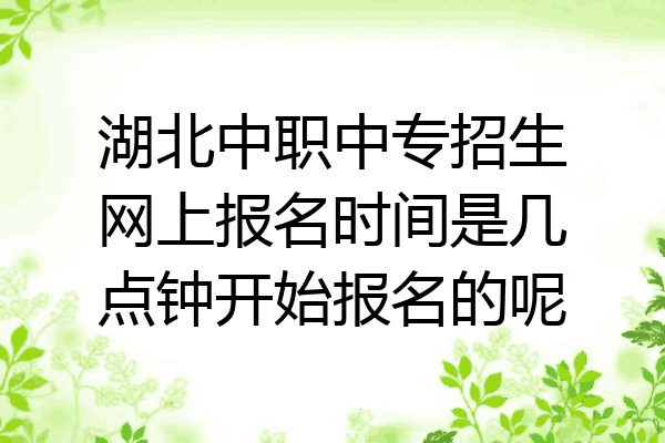 湖北中职中专招生网上报名时间是几点钟开始报名的呢
