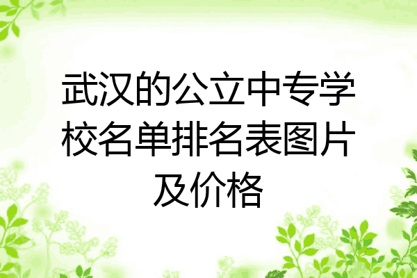 武汉的公立中专学校名单排名表图片及价格