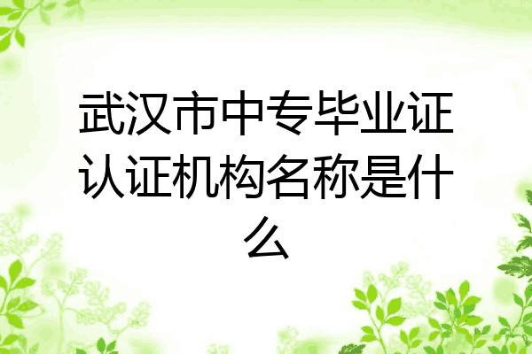 武汉市中专毕业证认证机构名称是什么