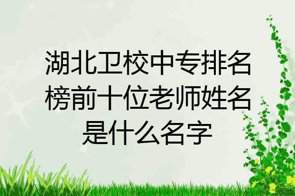 湖北卫校中专排名榜前十位老师姓名是什么名字