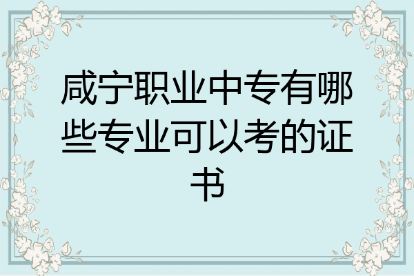 咸宁职业中专有哪些专业可以考的证书