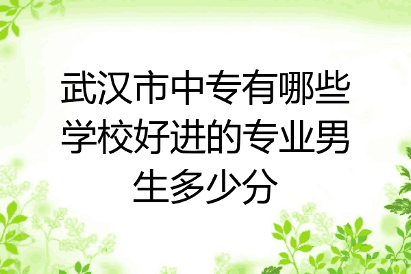 武汉市中专有哪些学校好进的专业男生多少分