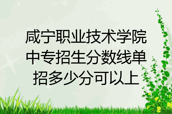 咸宁职业技术学院中专招生分数线单招多少分可以上