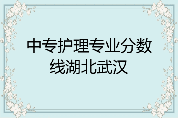 中专护理专业分数线湖北武汉