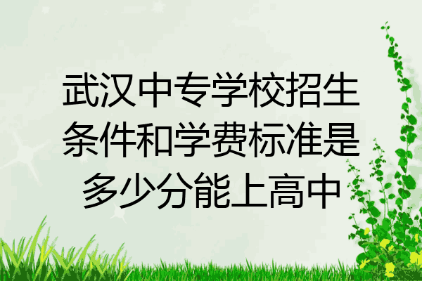 武汉中专学校招生条件和学费标准是多少分能上高中
