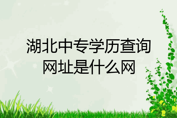 湖北中专学历查询网址是什么网
