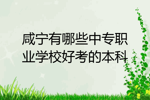 咸宁有哪些中专职业学校好考的本科