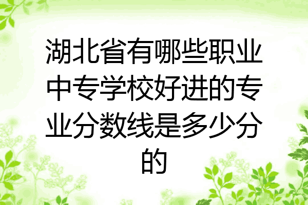 湖北省有哪些职业中专学校好进的专业分数线是多少分的