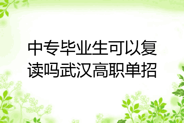 中专毕业生可以复读吗武汉高职单招