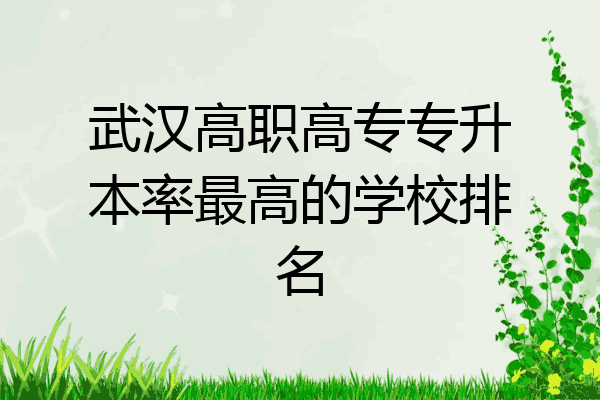 武汉高职高专专升本率最高的学校排名
