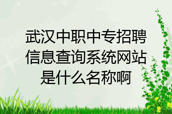 武汉中职中专招聘信息查询系统网站是什么名称啊