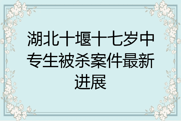 湖北十堰十七岁中专生被杀案件最新进展