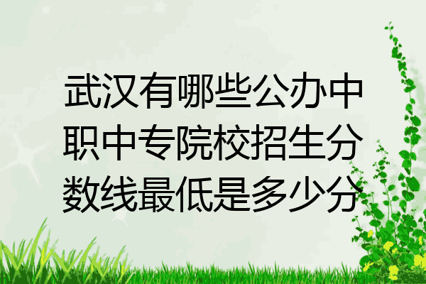 武汉有哪些公办中职中专院校招生分数线最低是多少分