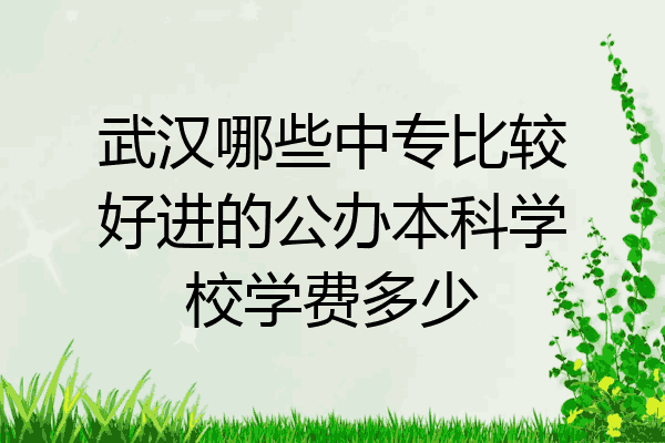 武汉哪些中专比较好进的公办本科学校学费多少