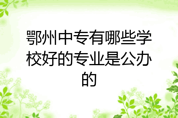 鄂州中专有哪些学校好的专业是公办的