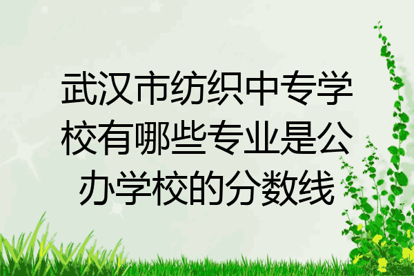 武汉市纺织中专学校有哪些专业是公办学校的分数线