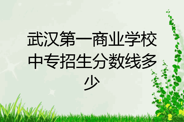 武汉第一商业学校中专招生分数线多少